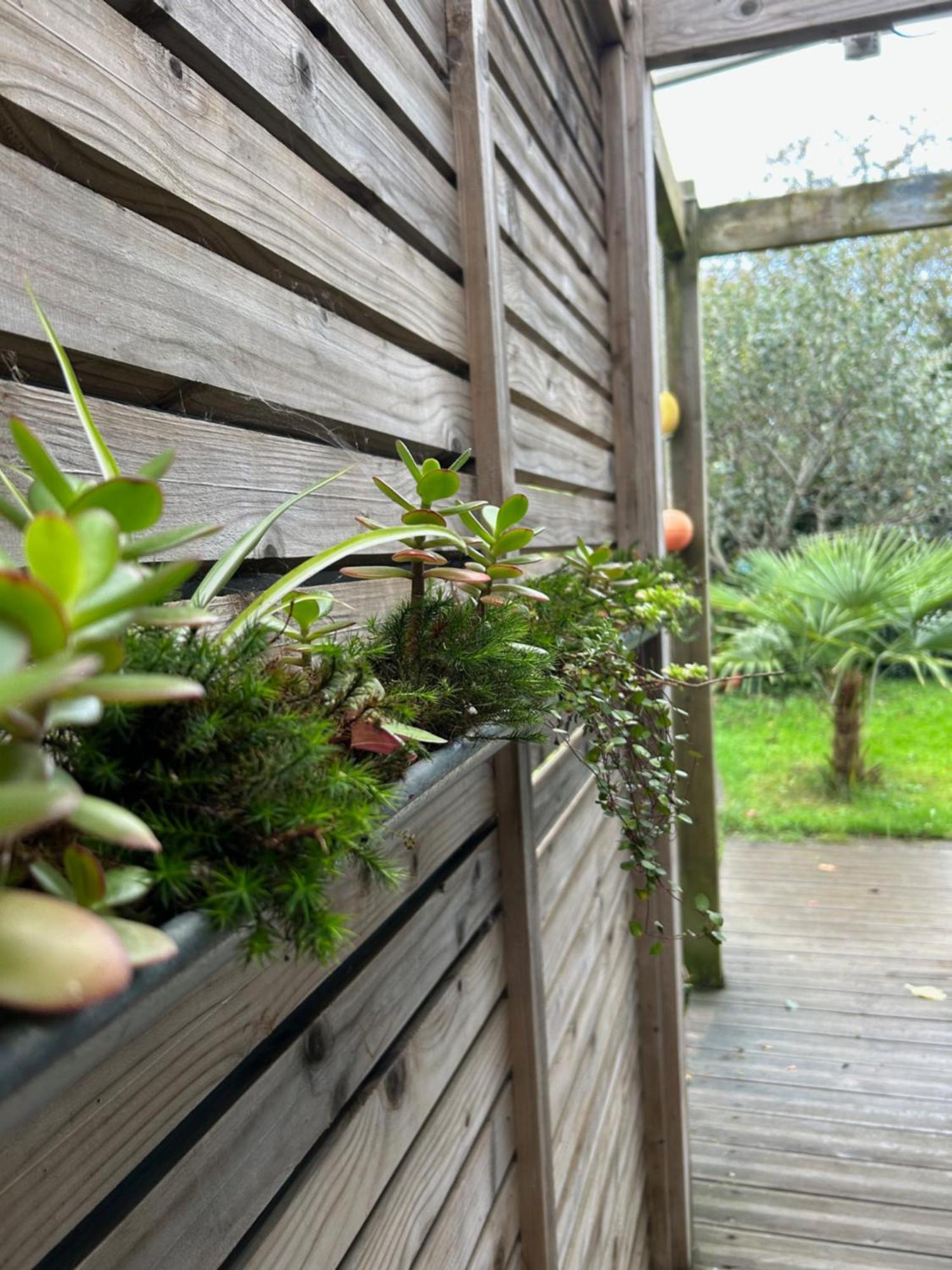 Gite Bambou Saint-Lunaire Exterior photo